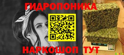 молекула духа Коммунар