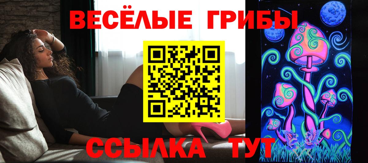 Кохма  Галлюциногенные грибы мухоморы  Вход с VPN 